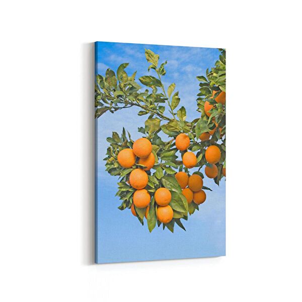 olla.market Kanvas Tablo