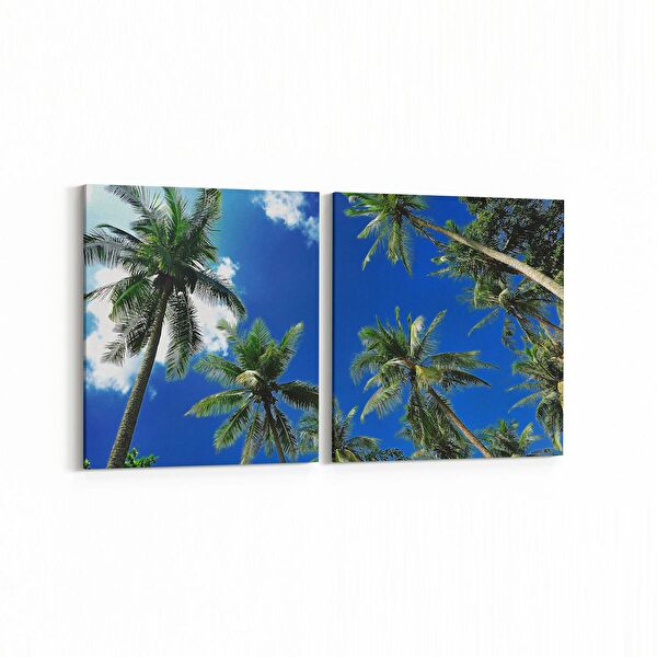 olla.market Kanvas Tablo