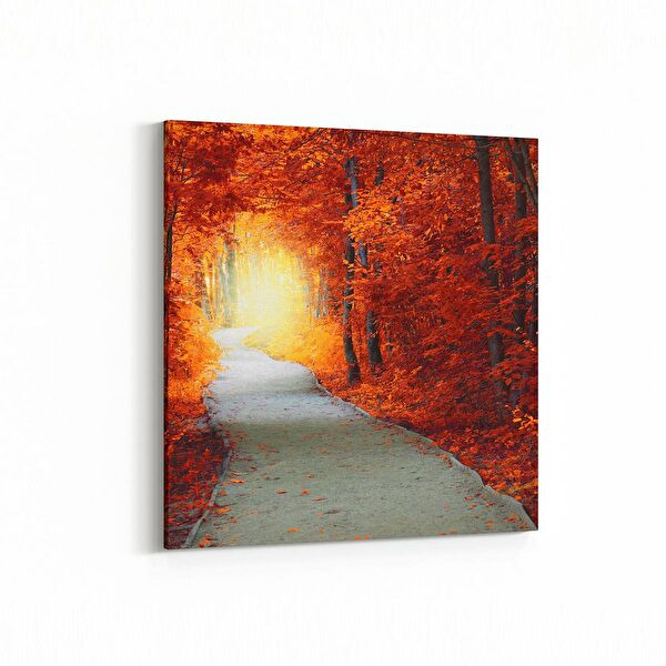 olla.market Kanvas Tablo