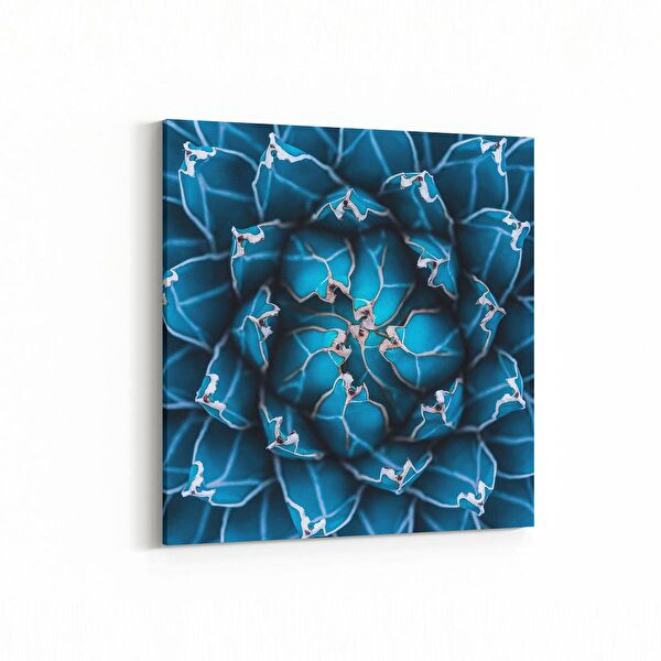 olla.market Kanvas Tablo