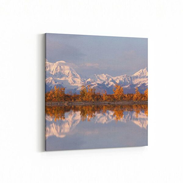 olla.market Kanvas Tablo