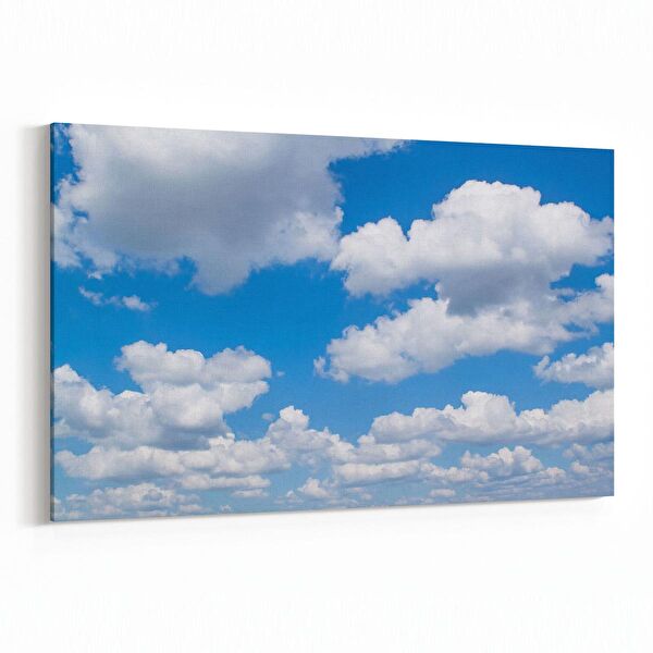 olla.market Kanvas Tablo