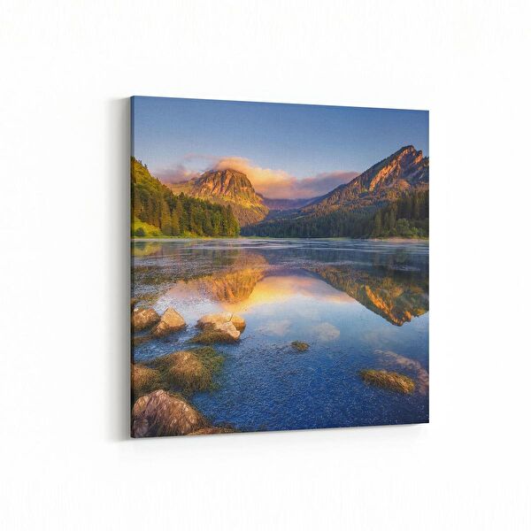 olla.market Kanvas Tablo