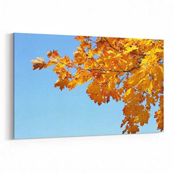 olla.market Kanvas Tablo