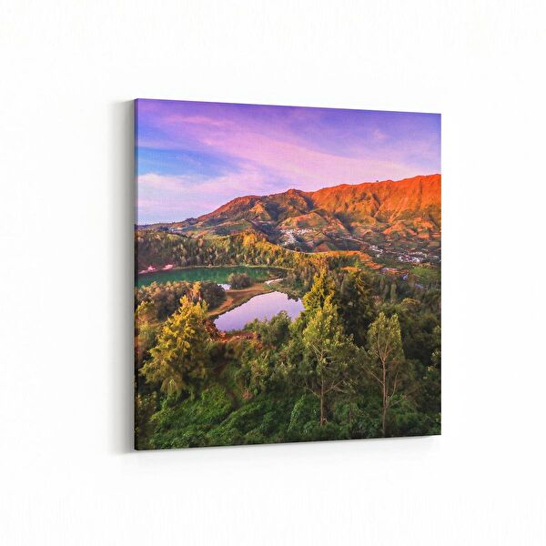 olla.market Kanvas Tablo