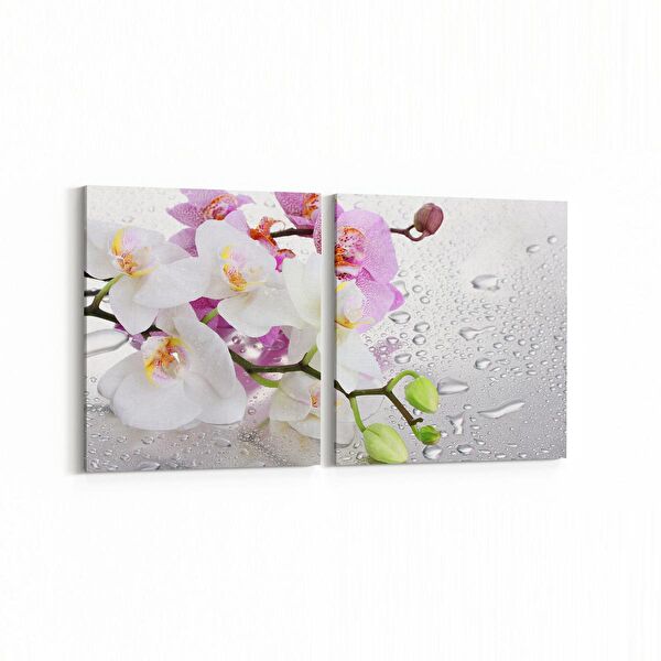 olla.market Kanvas Tablo