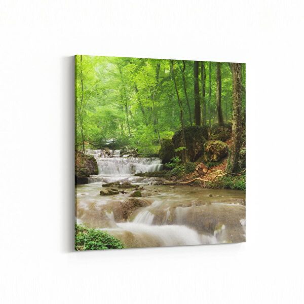 olla.market Kanvas Tablo