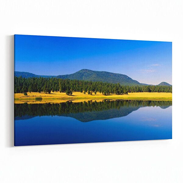 olla.market Kanvas Tablo