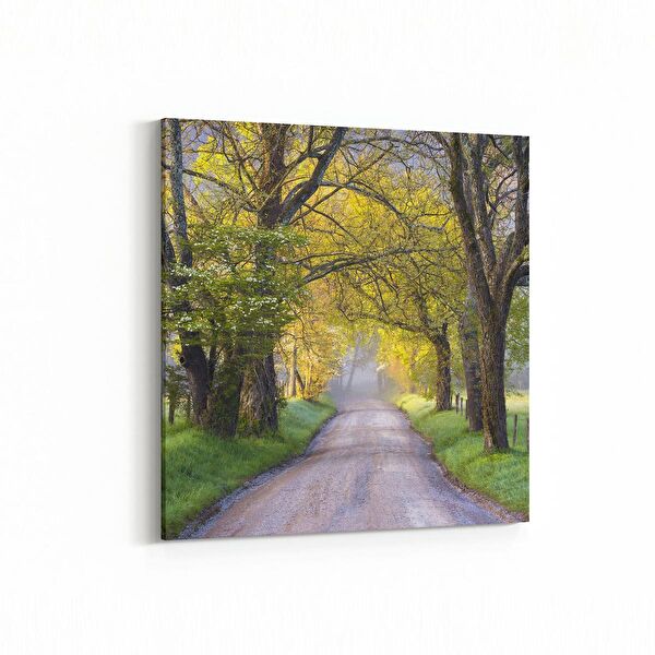 olla.market Kanvas Tablo