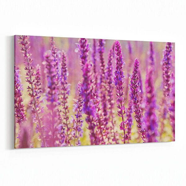 olla.market Kanvas Tablo