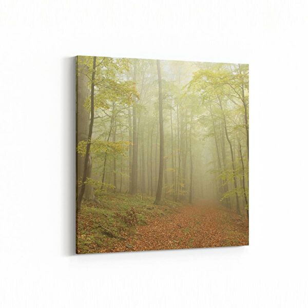 olla.market Kanvas Tablo