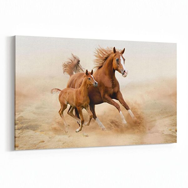 olla.market Kanvas Tablo