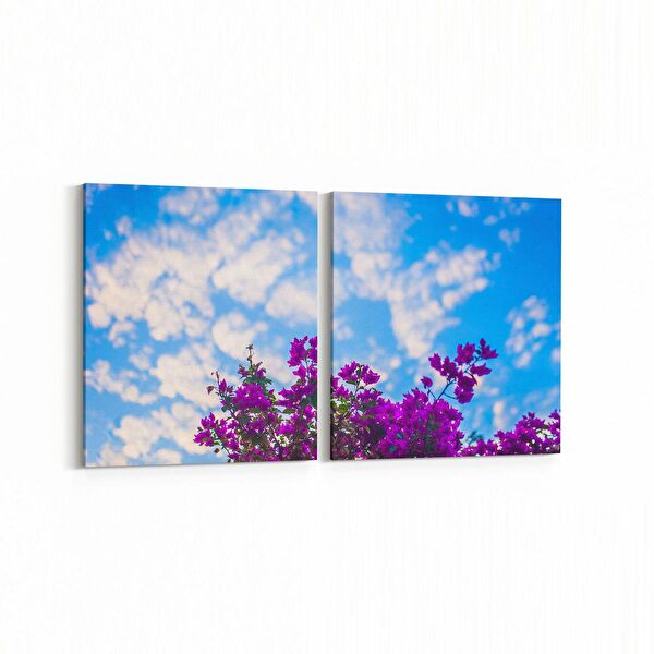 olla.market Kanvas Tablo