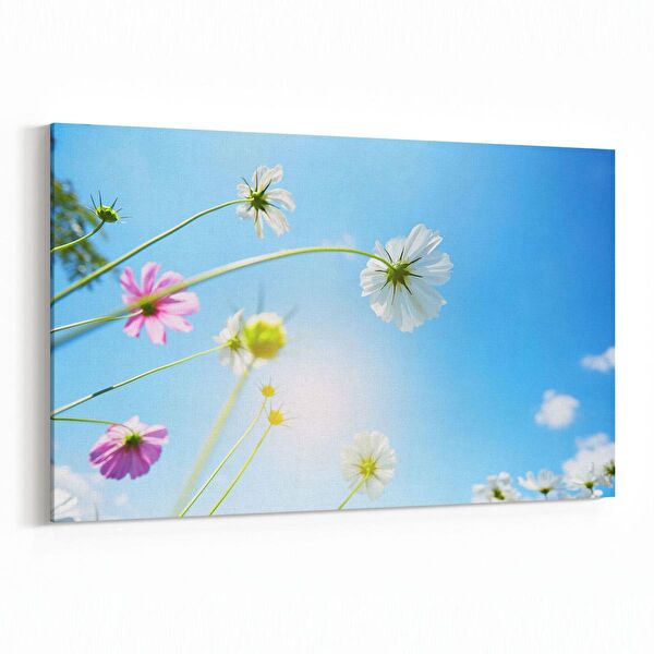 olla.market Kanvas Tablo