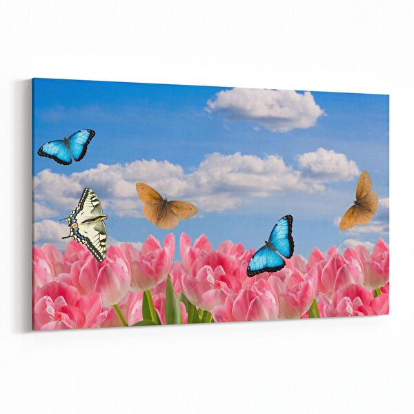 olla.market Kanvas Tablo