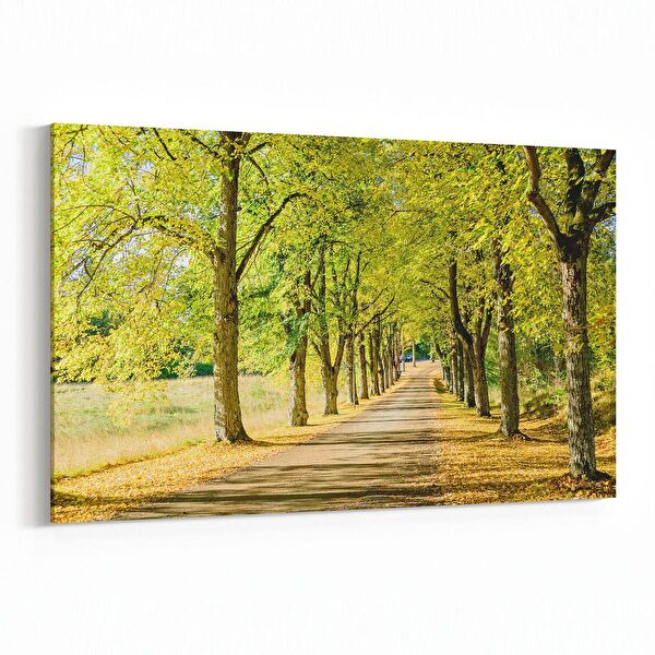 olla.market Kanvas Tablo