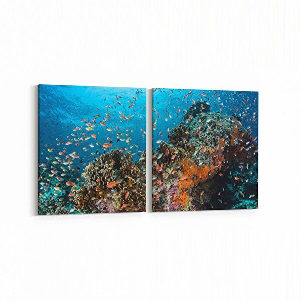 olla.market Kanvas Tablo