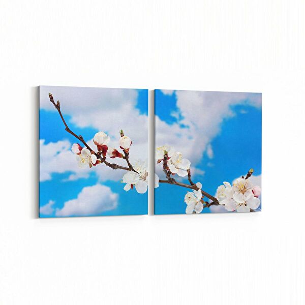 olla.market Kanvas Tablo