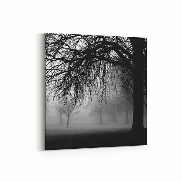 olla.market Kanvas Tablo