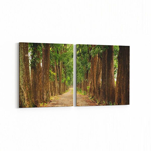 olla.market Kanvas Tablo