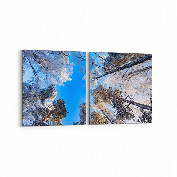 olla.market Kanvas Tablo