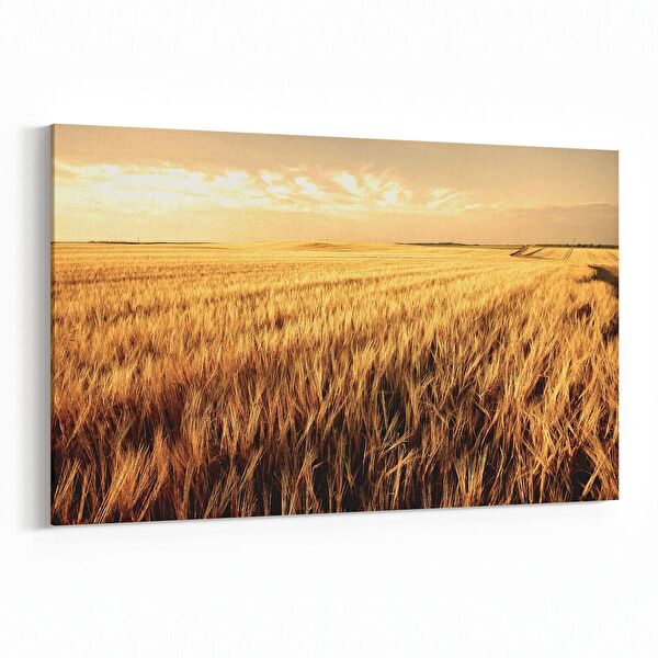 olla.market Kanvas Tablo