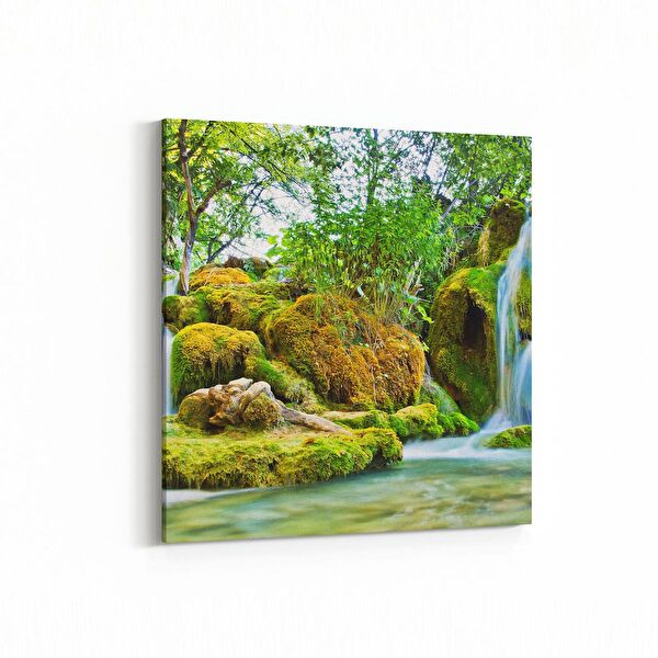 olla.market Kanvas Tablo