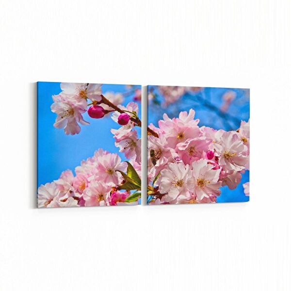 olla.market Kanvas Tablo