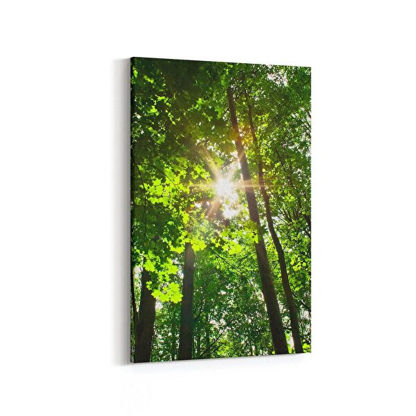 olla.market Kanvas Tablo