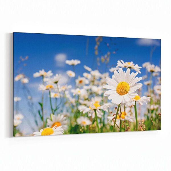 olla.market Kanvas Tablo