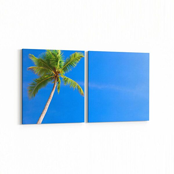 olla.market Kanvas Tablo