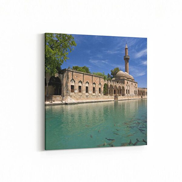 olla.market Kanvas Tablo