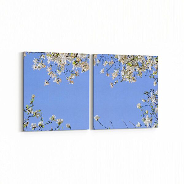 olla.market Kanvas Tablo