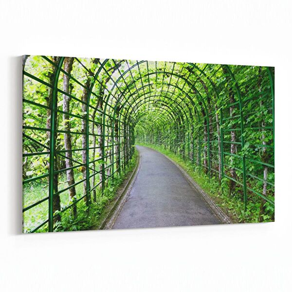 olla.market Kanvas Tablo