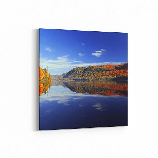 olla.market Kanvas Tablo