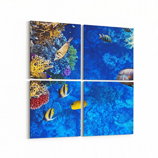 olla.market Kanvas Tablo