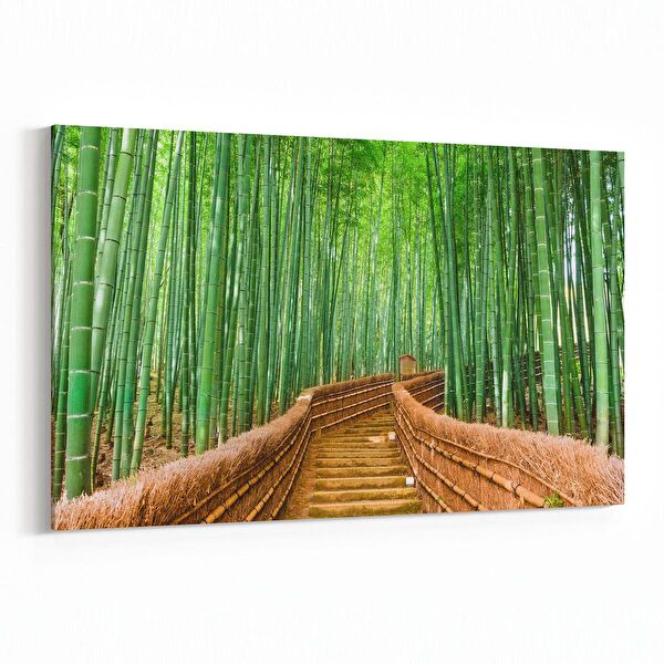 olla.market Kanvas Tablo