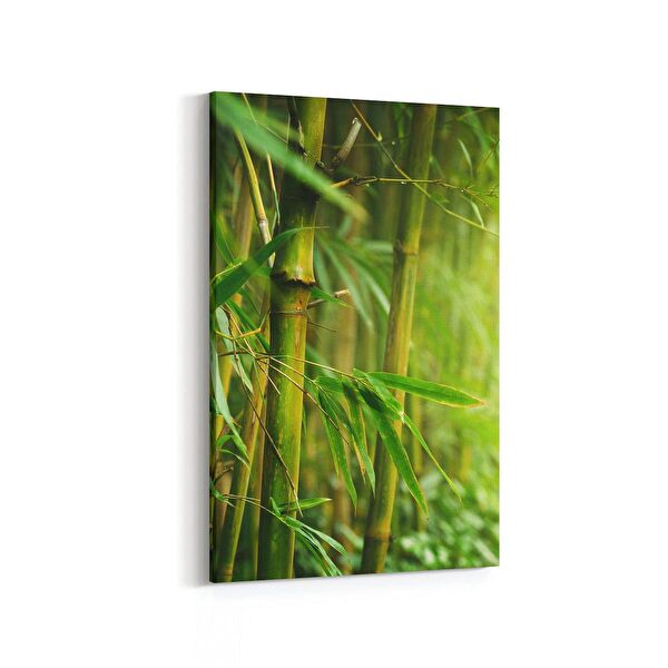 olla.market Kanvas Tablo