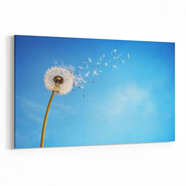 olla.market Kanvas Tablo