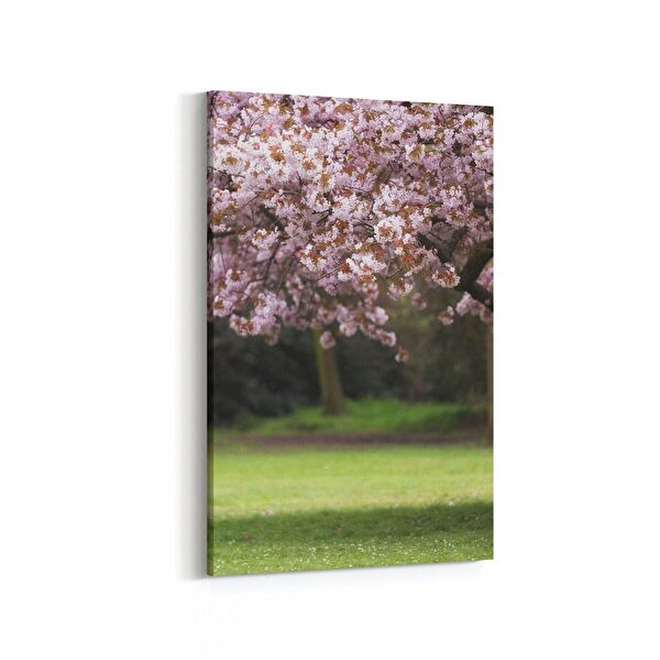 olla.market Kanvas Tablo