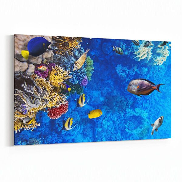 olla.market Kanvas Tablo