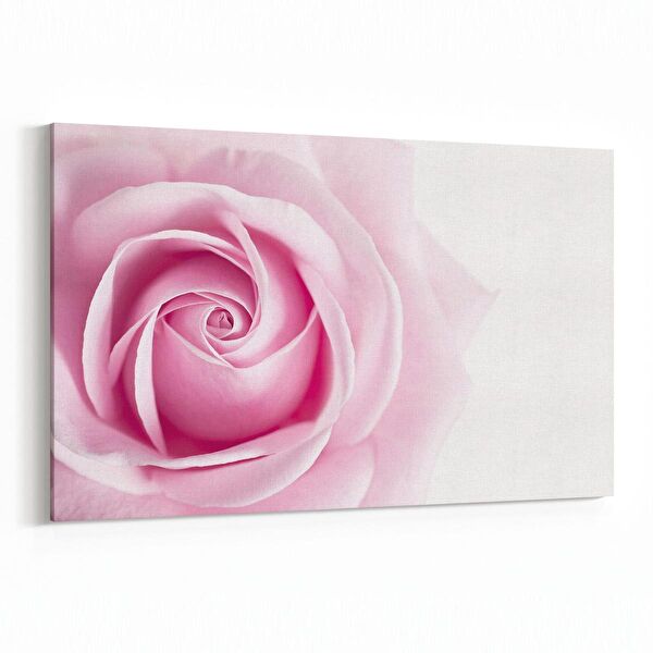 olla.market Kanvas Tablo