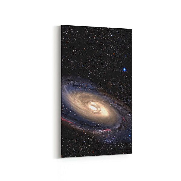 olla.market Kanvas Tablo