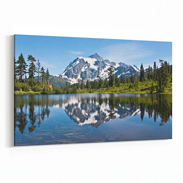 olla.market Kanvas Tablo