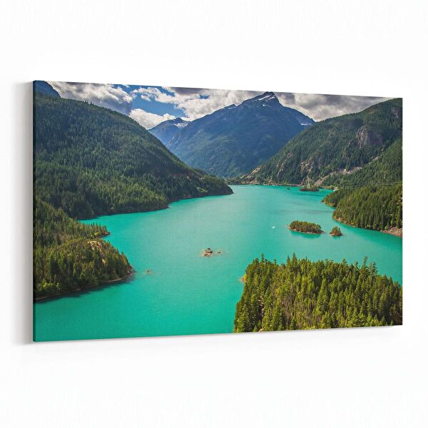 olla.market Kanvas Tablo