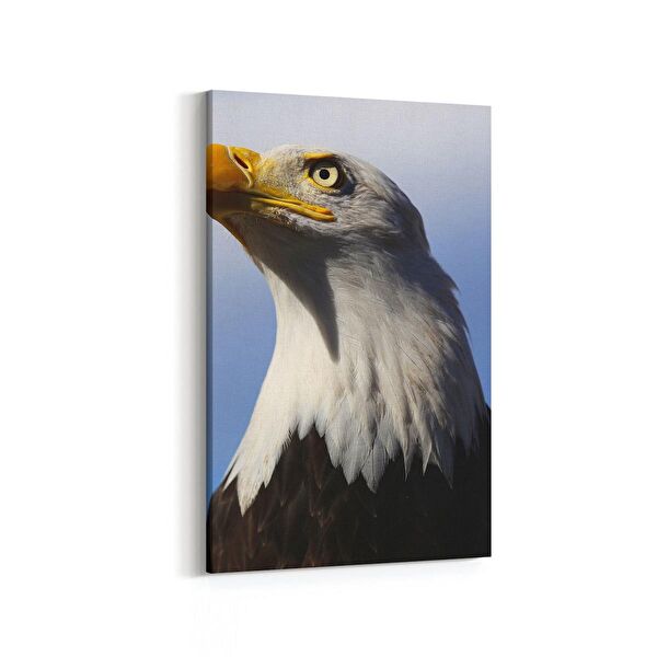 olla.market Kanvas Tablo