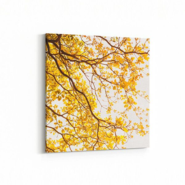 olla.market Kanvas Tablo