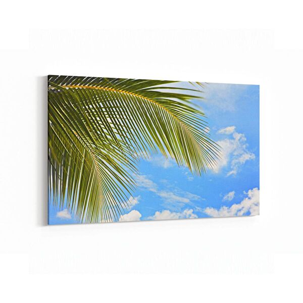 olla.market Kanvas Tablo