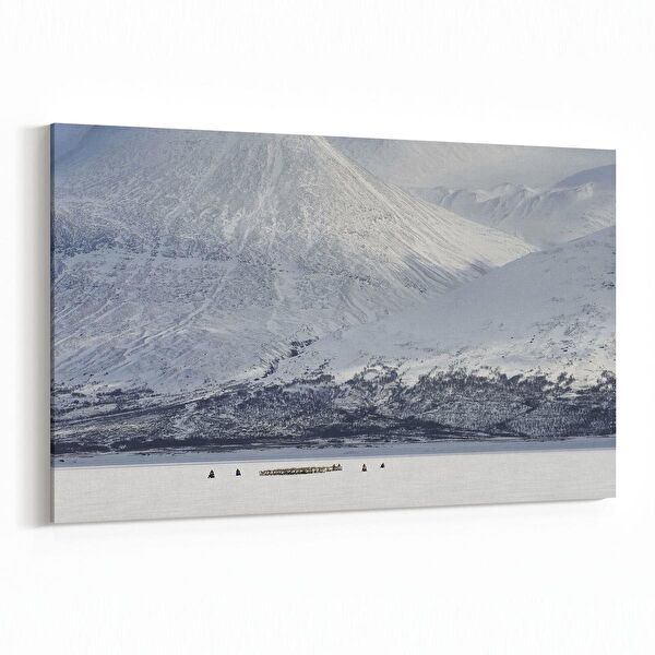 olla.market Kanvas Tablo