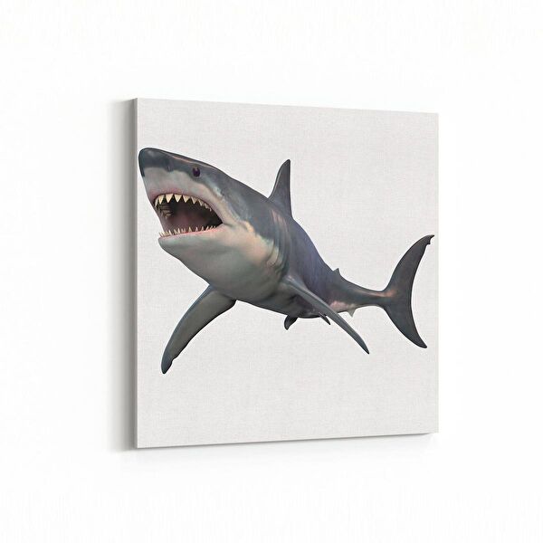 olla.market Kanvas Tablo